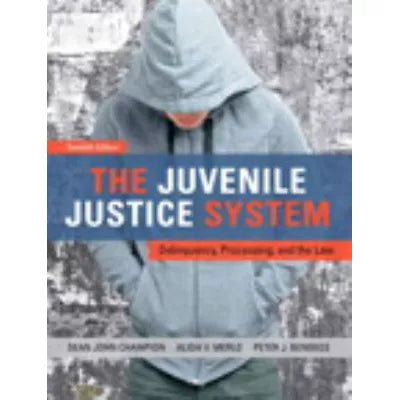The Juvenile Justice System