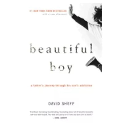 Beautiful Boy: Father's Journey through his Son's Addiction